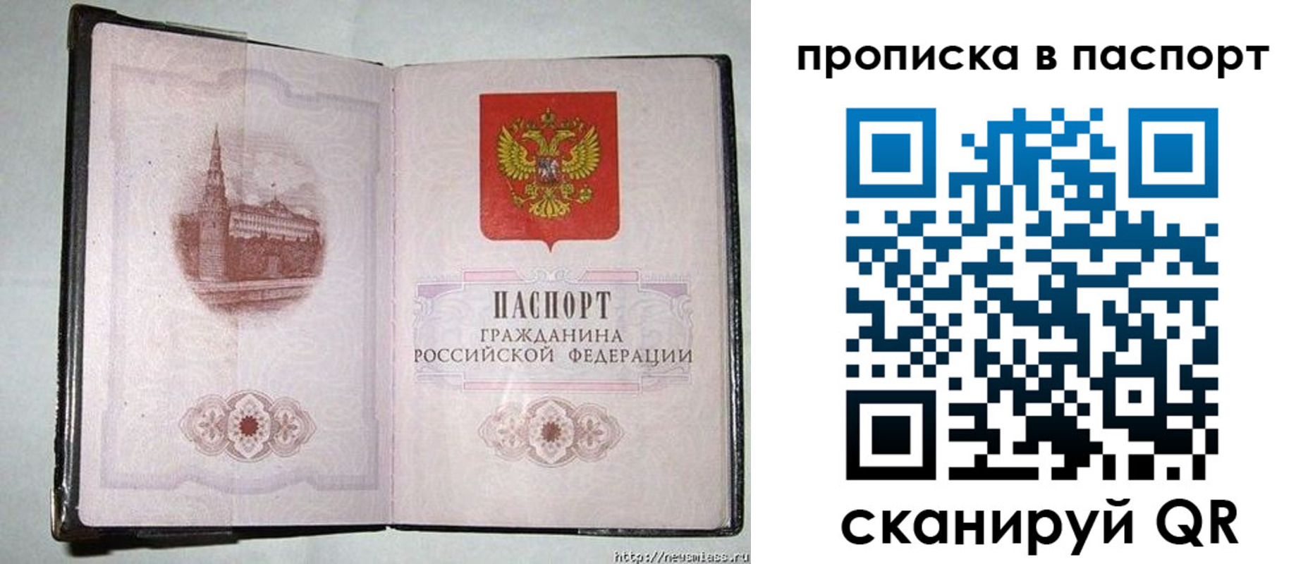 прописка штамп в Тавде